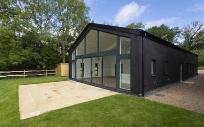 Efficient project management: the Early Birds way