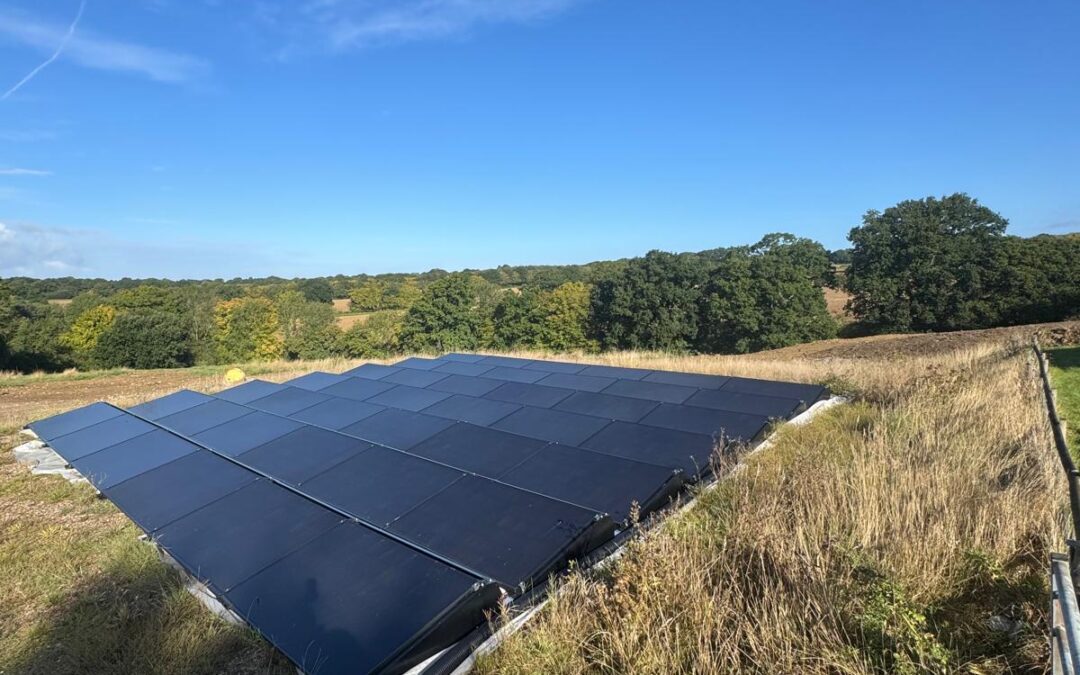 Power and Purpose: How We Built A Bespoke Solar Field Estate